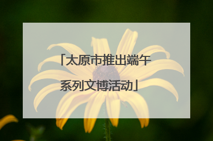 太原市推出端午系列文博活动