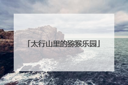 太行山里的猕猴乐园