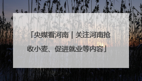 央媒看河南｜关注河南抢收小麦、促进就业等内容