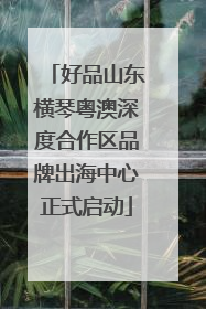 好品山东横琴粤澳深度合作区品牌出海中心正式启动