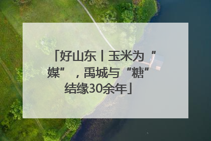 好山东丨玉米为“媒”，禹城与“糖”结缘30余年