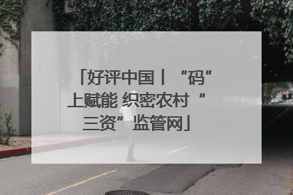 好评中国丨“码”上赋能 织密农村“三资”监管网