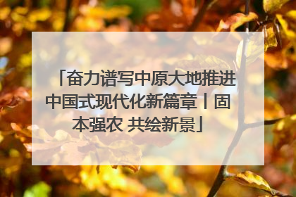 奋力谱写中原大地推进中国式现代化新篇章丨固本强农 共绘新景