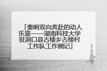 奏响双向奔赴的动人乐章——湖南科技大学驻洞口县古楼乡古楼村工作队工作侧记