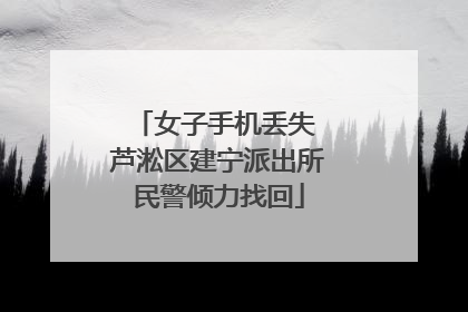 女子手机丢失 芦淞区建宁派出所民警倾力找回