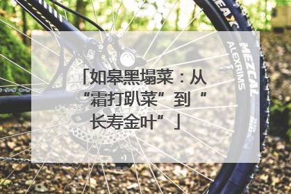 如皋黑塌菜：从“霜打趴菜”到“长寿金叶”