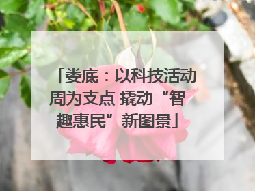 娄底：以科技活动周为支点 撬动“智趣惠民”新图景