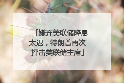 嫌弃美联储降息太迟，特朗普再次抨击美联储主席