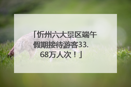忻州六大景区端午假期接待游客33.68万人次！