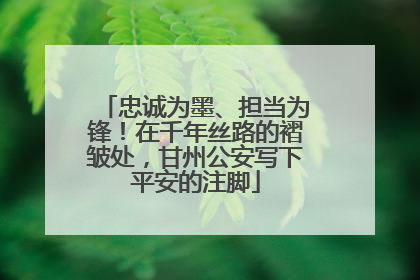 忠诚为墨、担当为锋！在千年丝路的褶皱处，甘州公安写下平安的注脚