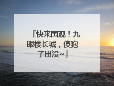 快来围观！九眼楼长城，傻狍子出没~