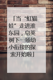 当“虹猫娃”走进淮东园，皂荚树下一场幼小衔接的探索开始啦