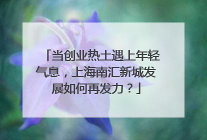 当创业热土遇上年轻气息，上海南汇新城发展如何再发力？
