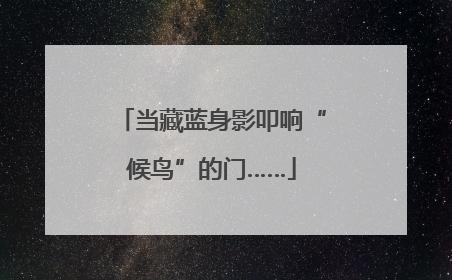 当藏蓝身影叩响“候鸟”的门……