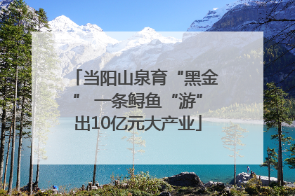 当阳山泉育“黑金” 一条鲟鱼“游”出10亿元大产业