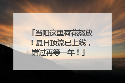当阳这里荷花怒放！夏日顶流已上线，错过再等一年！