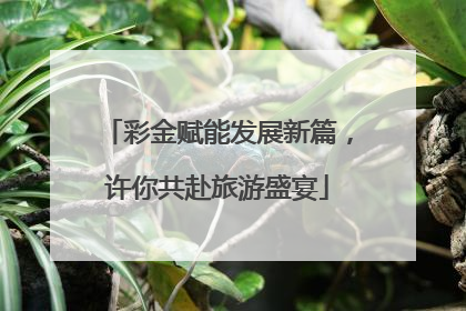 彩金赋能发展新篇，许你共赴旅游盛宴