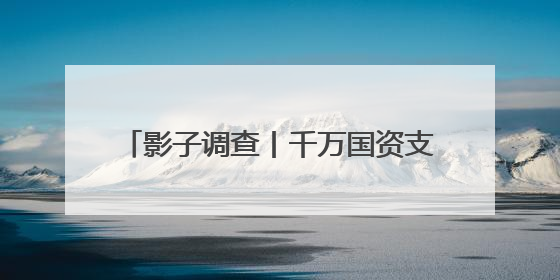影子调查丨千万国资支出“假戏真做”疑云