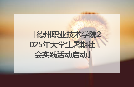 德州职业技术学院2025年大学生暑期社会实践活动启动