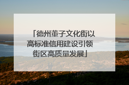德州董子文化街以高标准信用建设引领街区高质量发展