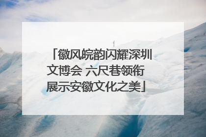 徽风皖韵闪耀深圳文博会 六尺巷领衔展示安徽文化之美