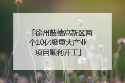 徐州鼓楼高新区两个10亿级重大产业项目顺利开工