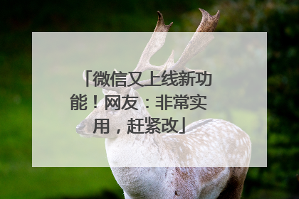 微信又上线新功能！网友：非常实用，赶紧改