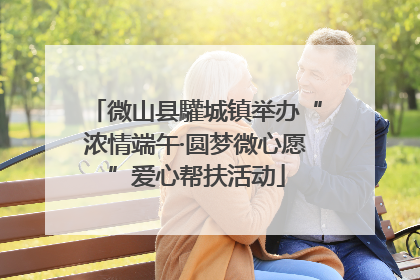 微山县驩城镇举办“浓情端午·圆梦微心愿”爱心帮扶活动