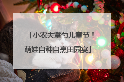 小农夫掌勺儿童节！萌娃自种自烹田园宴
