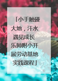 小手触碰大地，汗水遇见成长 乐师附小开展劳动基地实践课程