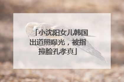 小沈阳女儿韩国出道照曝光，被指撞脸孔孝真