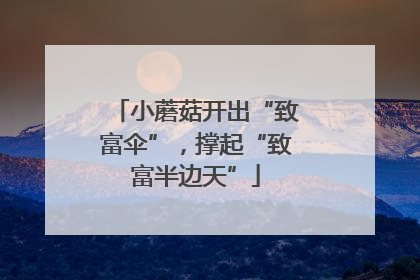 小蘑菇开出“致富伞”，撑起“致富半边天”