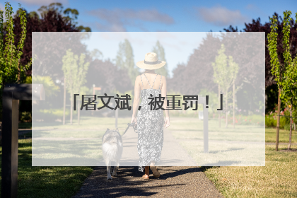 屠文斌，被重罚！
