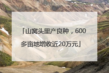 山窝头里产良种，600多亩地增收近20万元