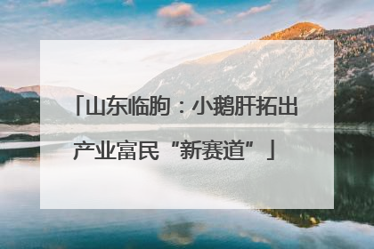 山东临朐：小鹅肝拓出产业富民“新赛道”