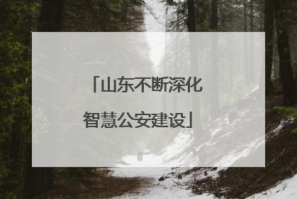 山东不断深化智慧公安建设