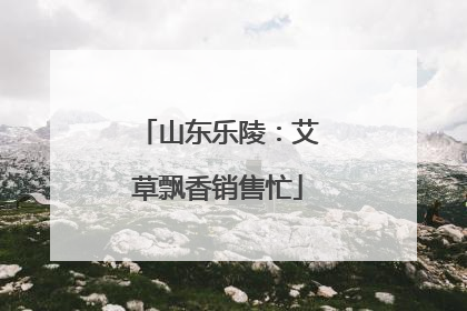 山东乐陵：艾草飘香销售忙