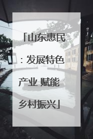 山东惠民：发展特色产业 赋能乡村振兴