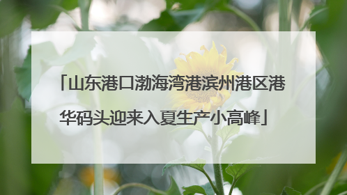 山东港口渤海湾港滨州港区港华码头迎来入夏生产小高峰