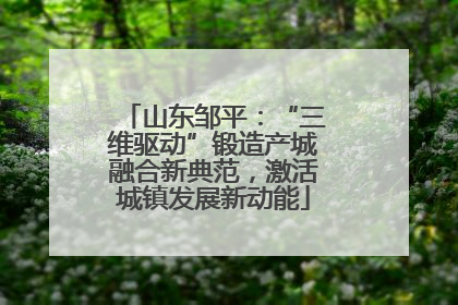 山东邹平：“三维驱动”锻造产城融合新典范，激活城镇发展新动能