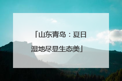 山东青岛：夏日湿地尽显生态美