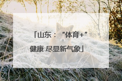 山东：“体育+”健康 尽显新气象