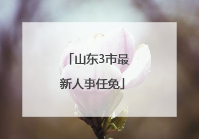 山东3市最新人事任免