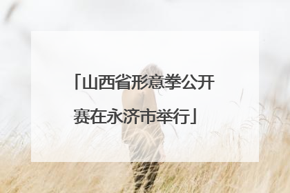 山西省形意拳公开赛在永济市举行