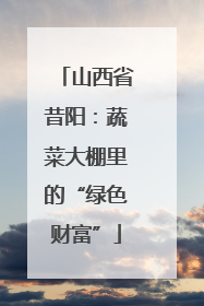 山西省昔阳：蔬菜大棚里的“绿色财富”