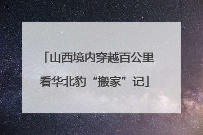 山西境内穿越百公里 看华北豹“搬家”记