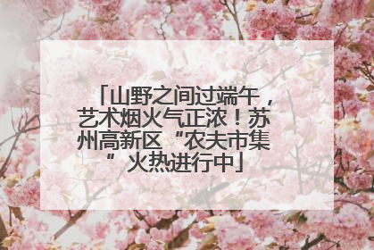 山野之间过端午，艺术烟火气正浓！苏州高新区“农夫市集”火热进行中
