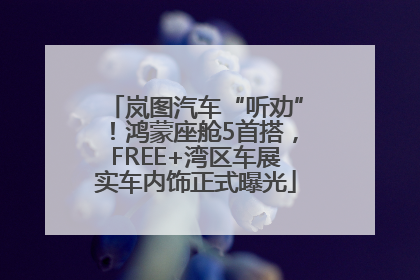 岚图汽车“听劝”！鸿蒙座舱5首搭，FREE+湾区车展实车内饰正式曝光