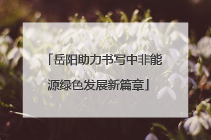 岳阳助力书写中非能源绿色发展新篇章