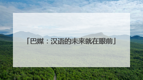 巴媒：汉语的未来就在眼前